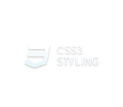 CSS3